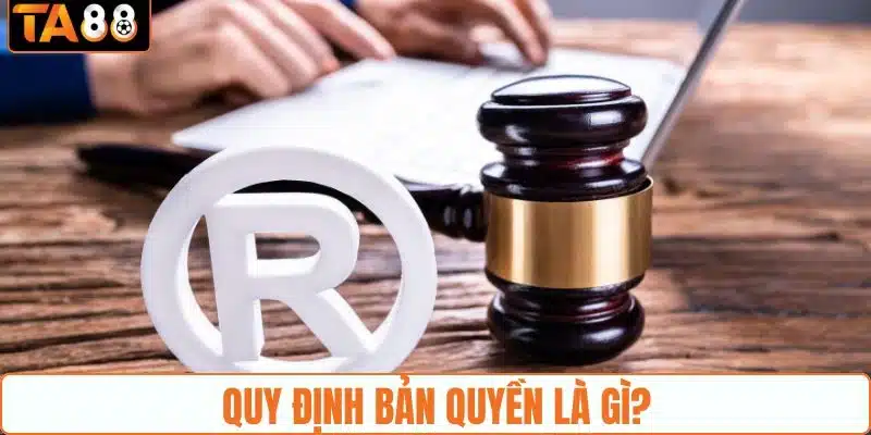 Giới thiệu sơ nét thông tin quy định bản quyền