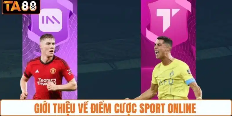 Giới thiệu về điểm cược Sport online