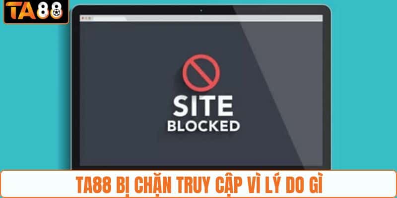 TA88 bị chặn truy cập vì lý do gì